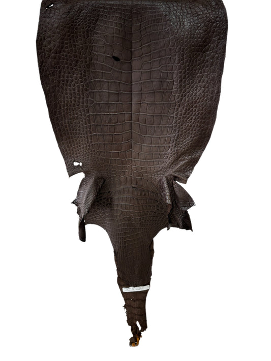 51 cm Grade 4/5 Dark Chocolate Matte Wild American Alligator Leather - Tag: LA23-0048152
