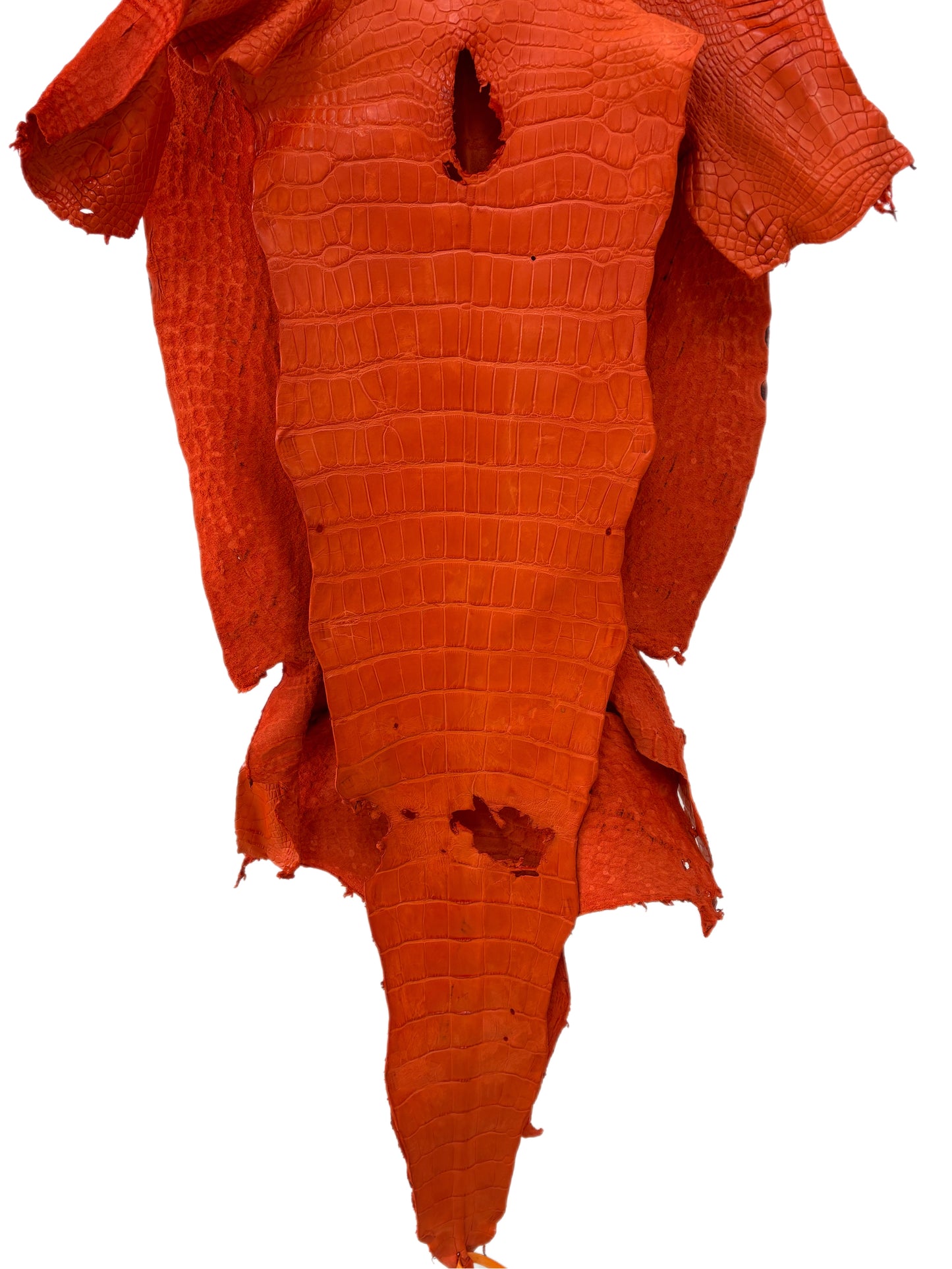 43 cm Grade 2/3 Orange Matte Wild American Alligator Leather - Tag: LA23-0023250