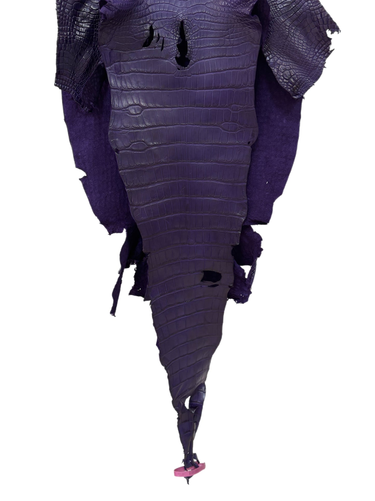 41 cm Grade 2/3 Violet Primavera Matte Wild American Alligator Leather - Tag: LA23-0003615