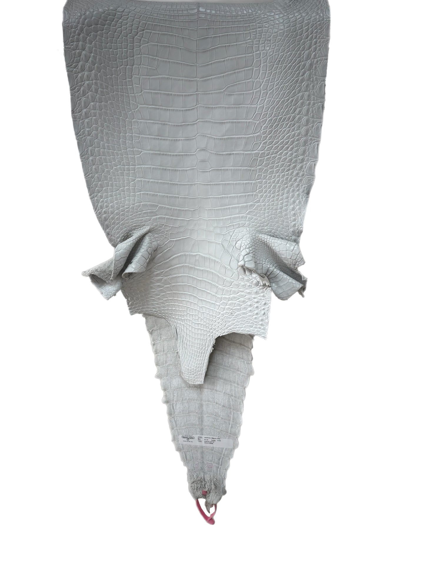 34 cm Grade 2/3 White Matte Farm-Raised American Alligator Leather - Tag: FL21-0024149
