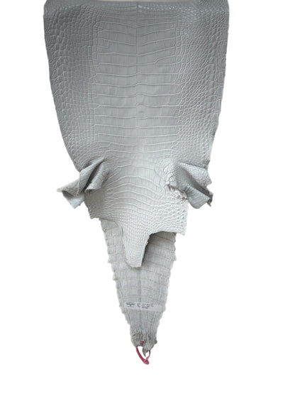 34 cm Grade 2/3 White Matte Farm-Raised American Alligator Leather - Tag: FL21-0024149