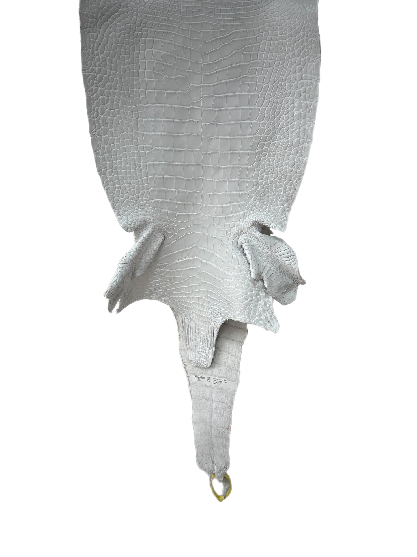 36 cm Grade 2/3 White Matte Farm-Raised American Alligator Leather - Tag: LA25-0316233