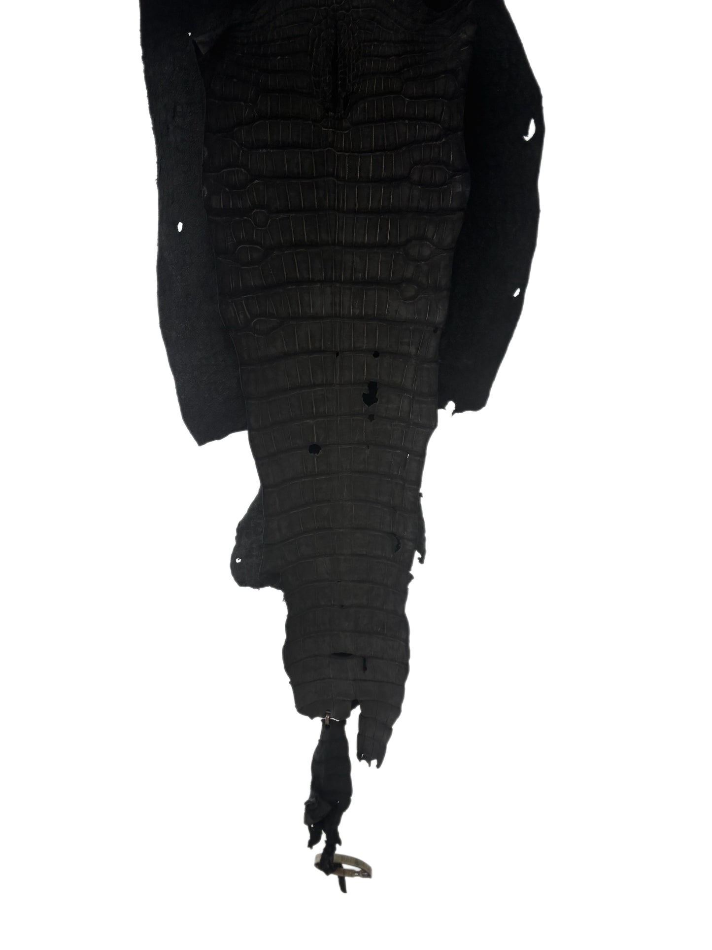 37 cm Grade 4/5 Black Nubuck Wild American Alligator Leather - Tag: LA23-0002073
