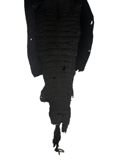 37 cm Grade 4/5 Black Nubuck Wild American Alligator Leather - Tag: LA23-0002073