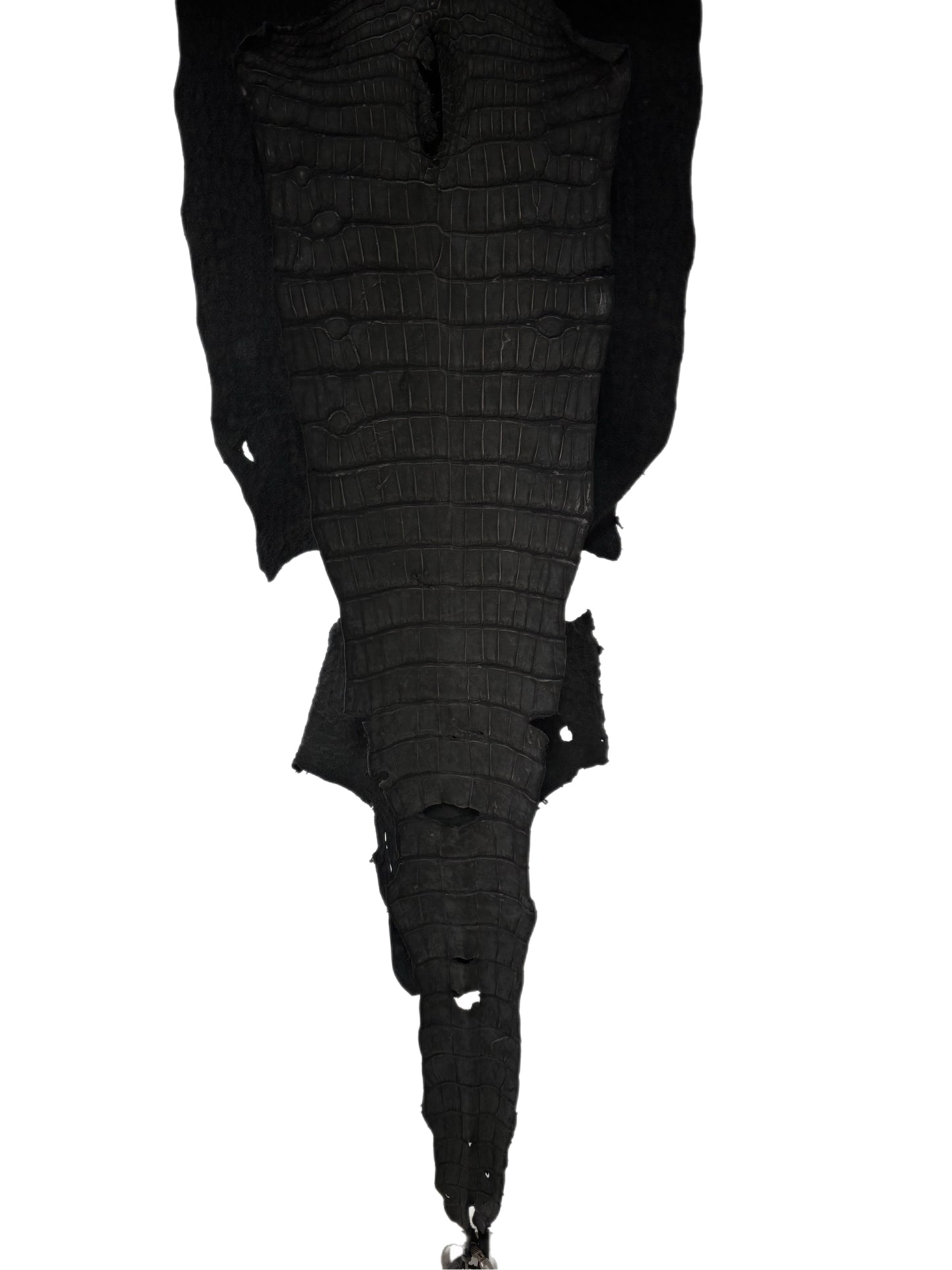36 cm Grade 2/3 Black Nubuck Wild American Alligator Leather - Tag: LA23-0001295