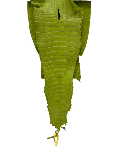 28 cm Grade 3/4 Chartreuse Matte Farm-Raised American Alligator Leather - Tag: FL22-0030146