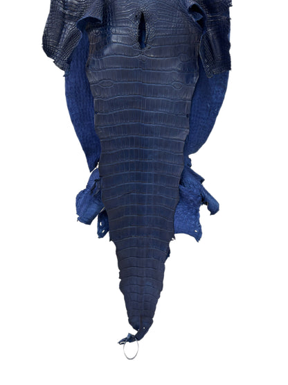 43 cm Grade 2/3 Admiral Blue Matte Wild American Alligator Leather - Tag: LA23-0003727
