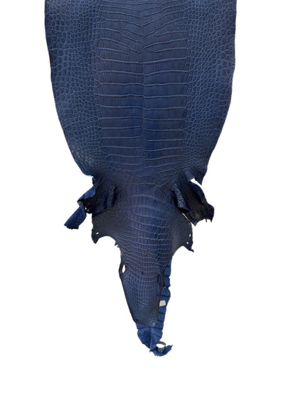 43 cm Grade 2/3 Admiral Blue Matte Wild American Alligator Leather - Tag: LA23-0003727