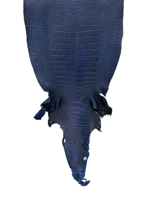 43 cm Grade 2/3 Admiral Blue Matte Wild American Alligator Leather - Tag: LA23-0003727
