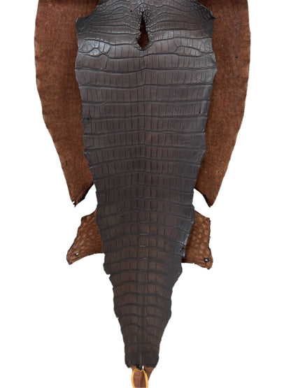 48 cm Grade 3/4 Whiskey Antique Matte Wild American Alligator Leather - Tag: LA23-0021529