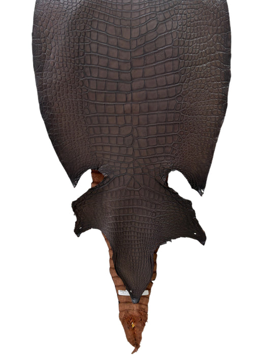 48 cm Grade 3/4 Whiskey Antique Matte Wild American Alligator Leather - Tag: LA23-0021529