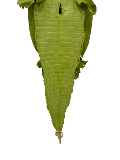 29 cm Grade 1/2 Chartreuse Matte Farm-Raised American Alligator Leather - Tag: FL21-0024002