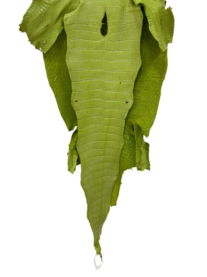 42 cm Grade 3/4 Chartreuse Matte Wild American Alligator Leather - Tag: LA23-0024224