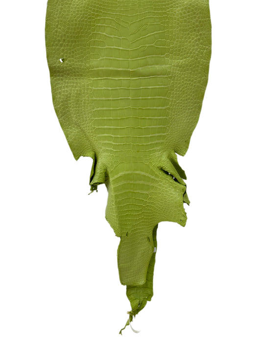 41 cm Grade 4/5 Chartreuse Matte Wild American Alligator Leather - Tag: LA23-0003824