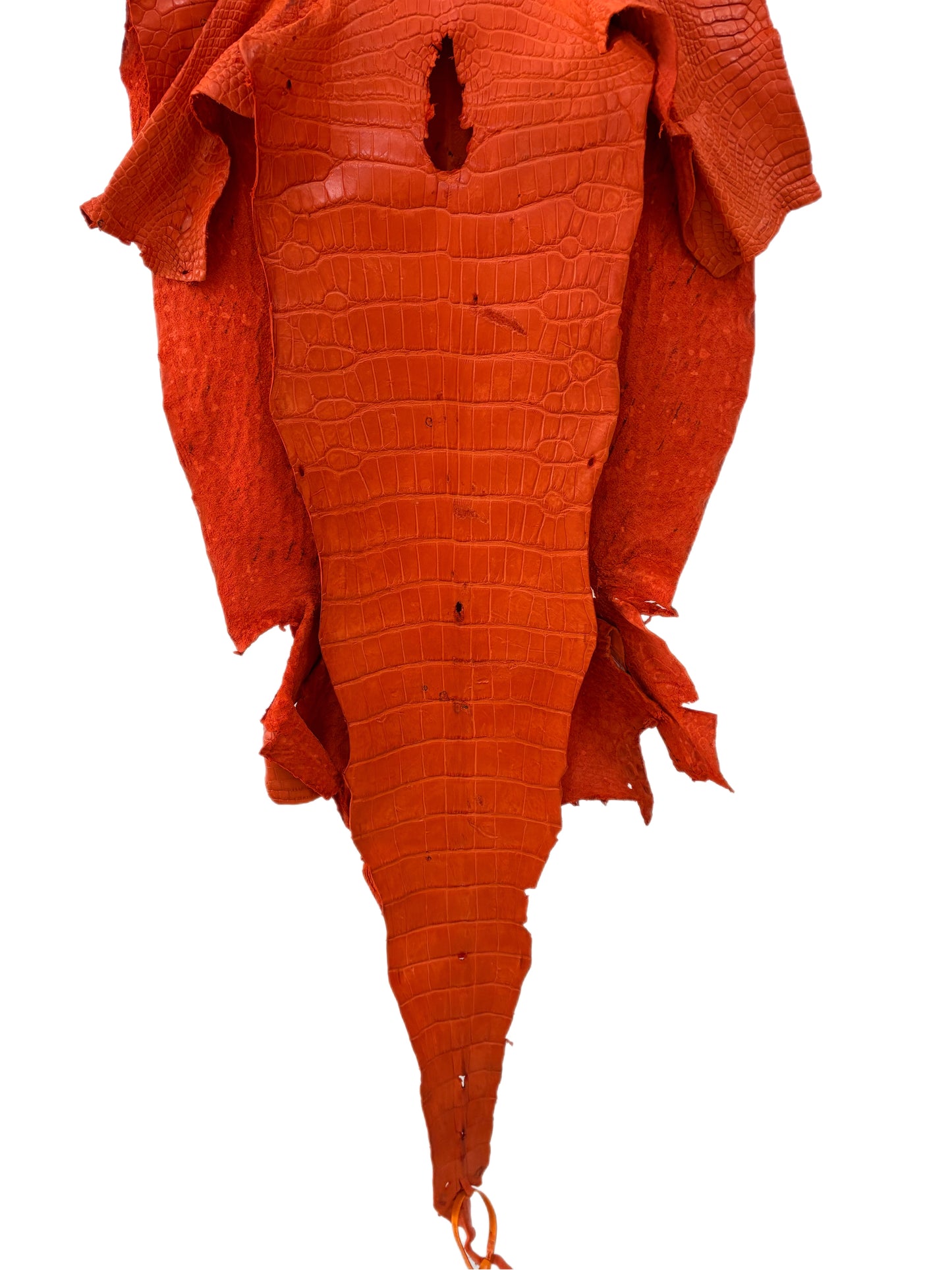 43 cm Grade 4/5 Orange Primavera Matte Wild American Alligator Leather - Tag: LA23-0003695