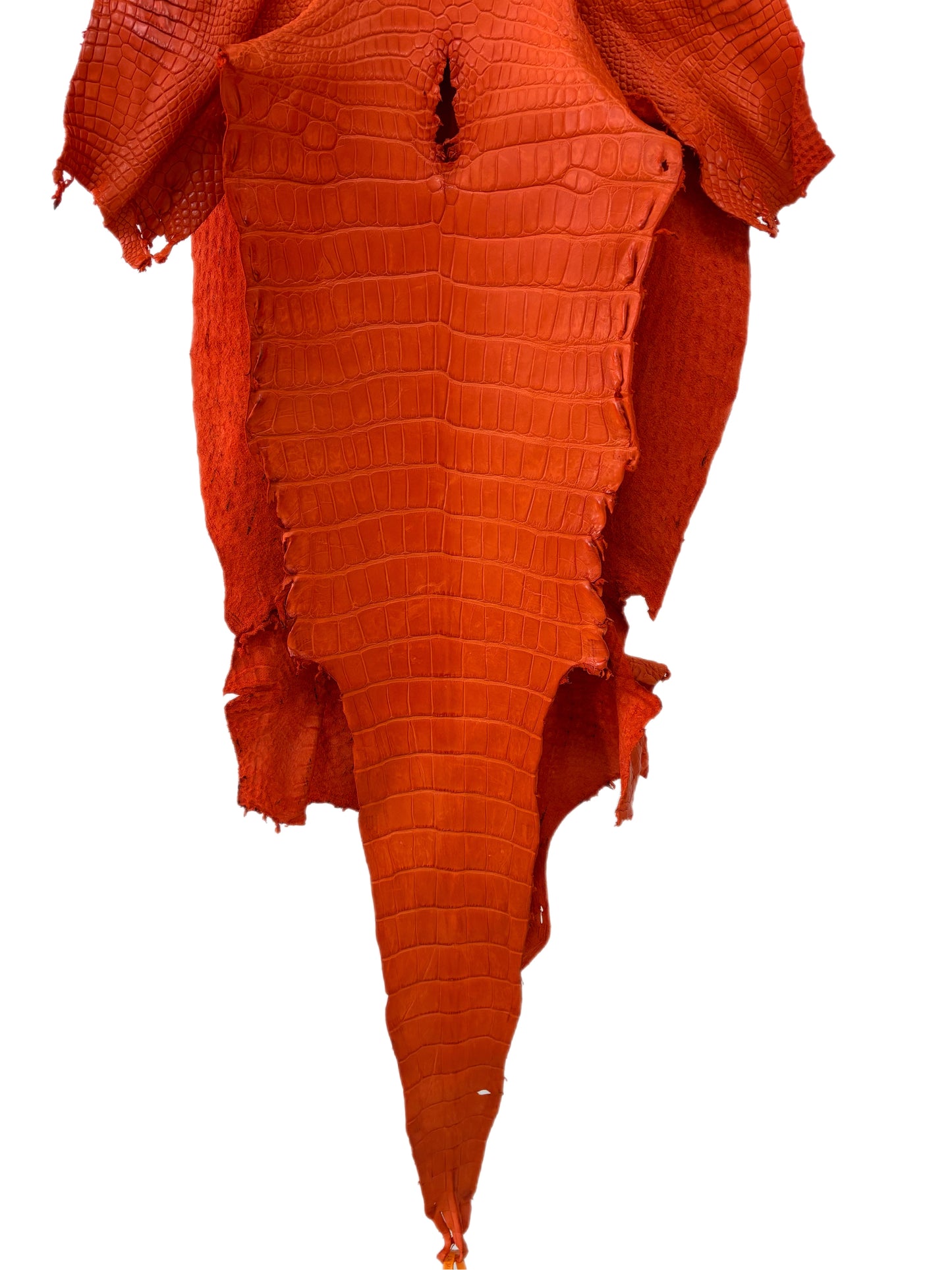 43 cm Grade 2/3 Orange Primavera Matte Wild American Alligator Leather - Tag: LA23-0024752