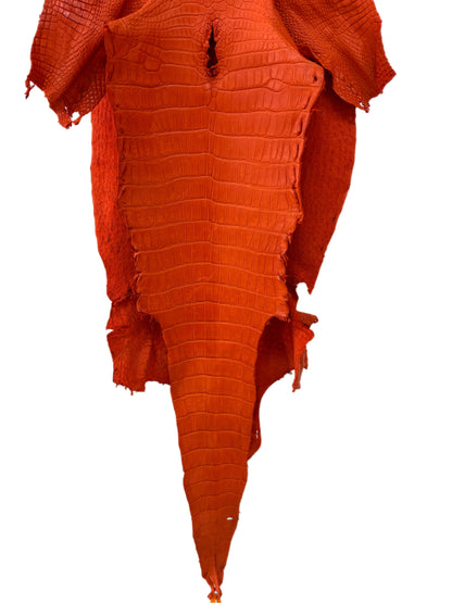 43 cm Grade 2/3 Orange Primavera Matte Wild American Alligator Leather - Tag: LA23-0024752