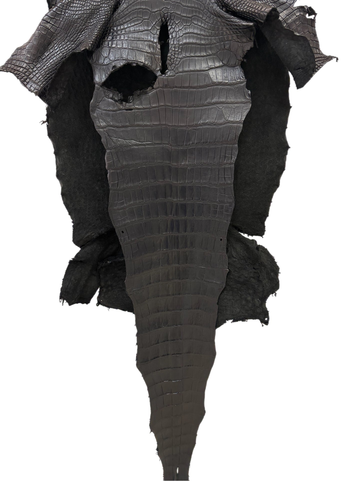 47 cm Grade 2/3 Black Matte Wild  American Alligator Leather - Tag: LA23-0021382