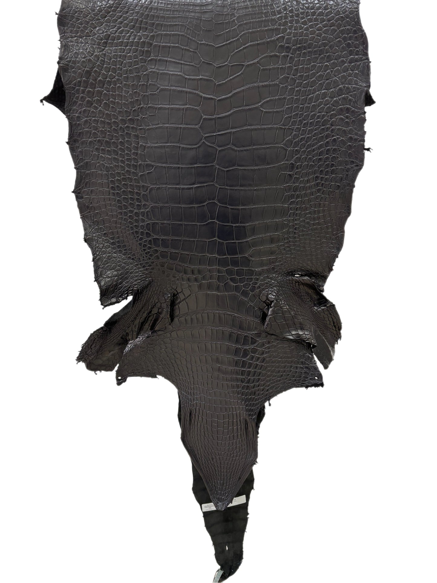 47 cm Grade 2/3 Black Matte Wild  American Alligator Leather - Tag: LA23-0021382