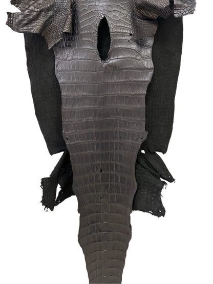 49 cm Grade 2/3 Black Matte Wild American Alligator Leather - Tag: LA23-0016568