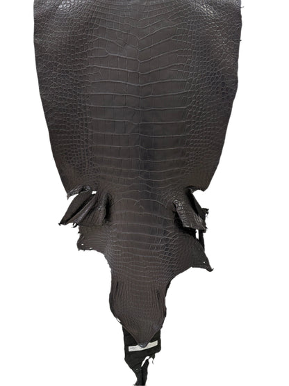 49 cm Grade 2/3 Black Matte Wild American Alligator Leather - Tag: LA23-0016568