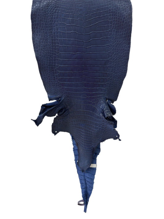 36 cm Grade 3/4 Admiral Blue Matte Wild American Alligator Leather - Tag: MS24-0000722
