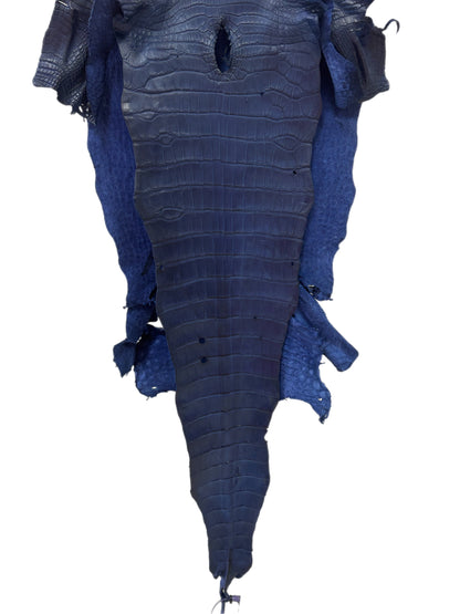 36 cm Grade 2/3 Admiral Blue Matte Wild American Alligator Leather - Tag: MS24-0000755