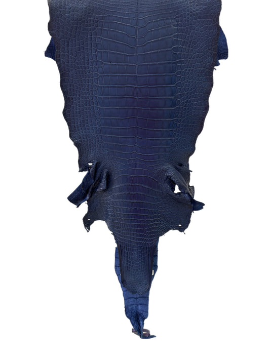36 cm Grade 2/3 Admiral Blue Matte Wild American Alligator Leather - Tag: MS24-0000755