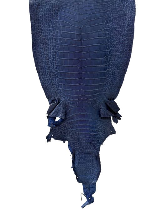 38 cm Grade 3/4 Admiral Blue Matte Wild American Alligator Leather - Tag: LA23-0007238