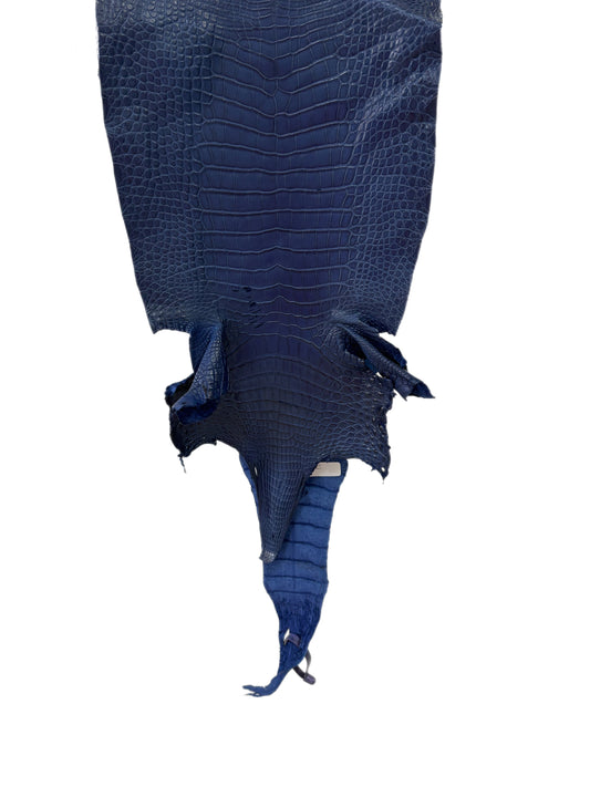29 cm Grade 3/4 Admiral Blue Matte Farm-Raised American Alligator Leather - Tag: LA21-0308180
