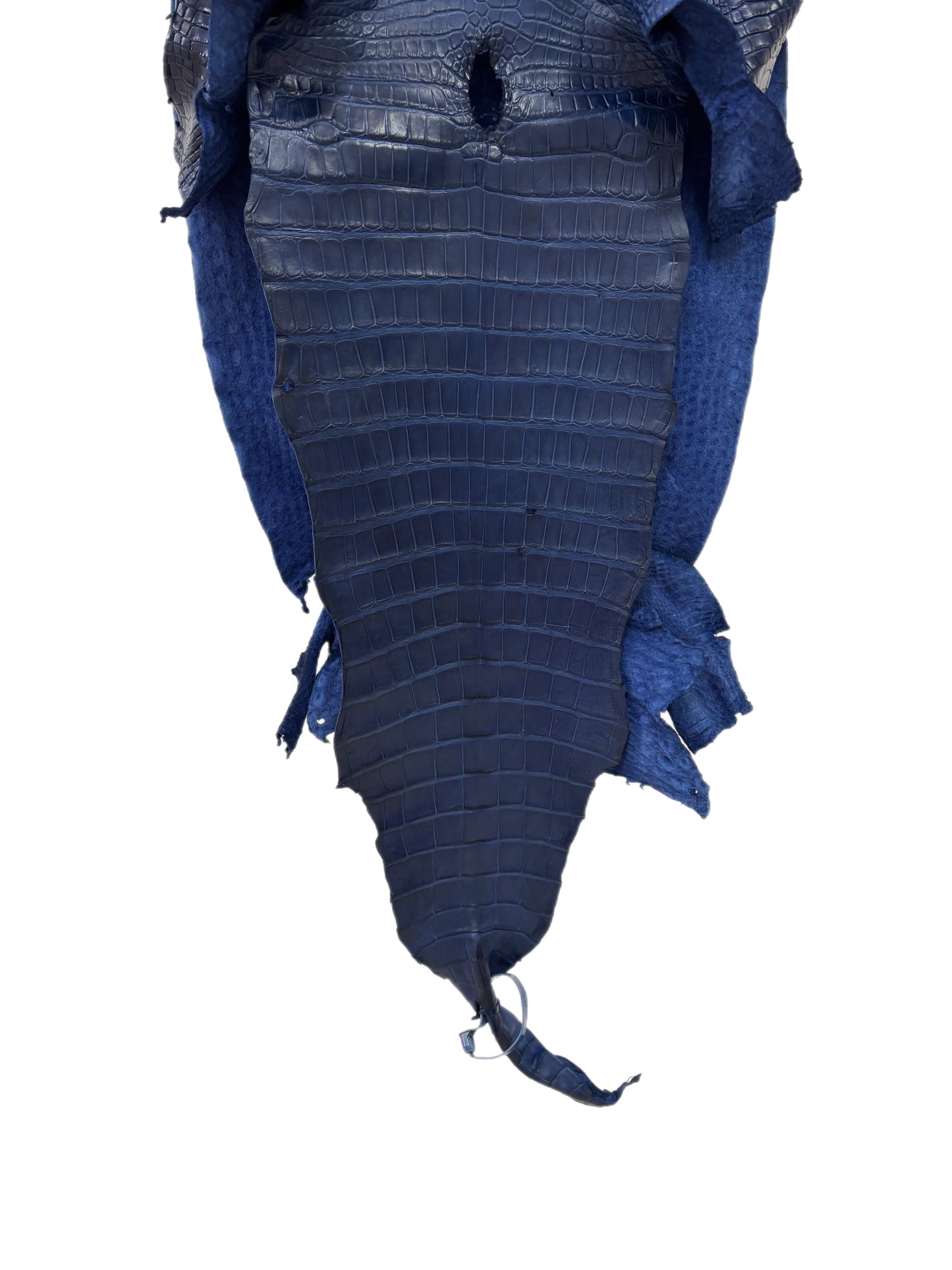 40 cm Grade 2/3 Admiral Blue Matte Wild American Alligator Leather - Tag: LA23-0021510