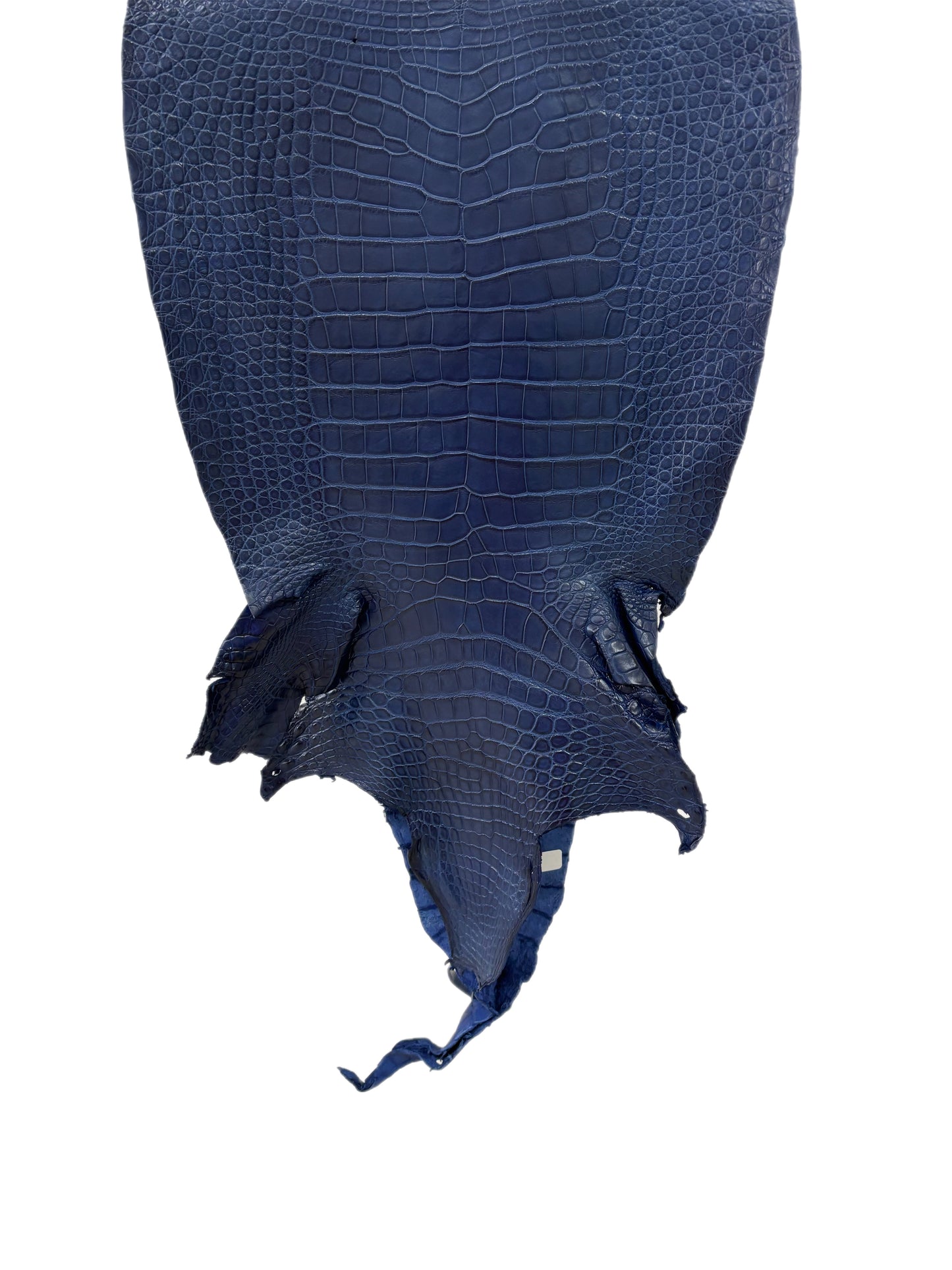 40 cm Grade 2/3 Admiral Blue Matte Wild American Alligator Leather - Tag: LA23-0021510