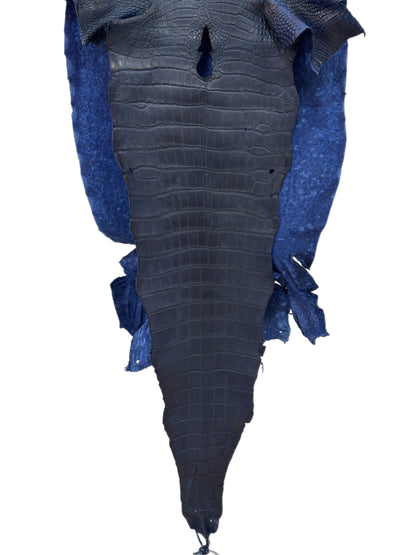 41 cm Grade 3/4 Admiral Blue Matte Wild American Alligator Leather - Tag: LA23-0050912