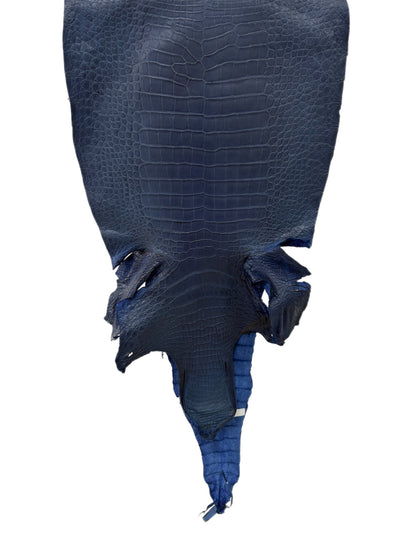 41 cm Grade 3/4 Admiral Blue Matte Wild American Alligator Leather - Tag: LA23-0050912