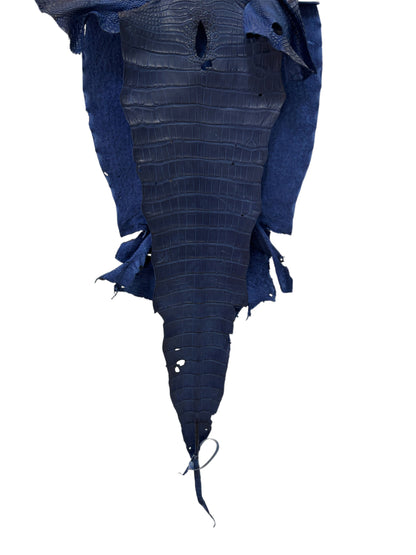 38 cm Grade 3/4 Admiral Blue Matte Wild American Alligator Leather - Tag: LA23-0007244