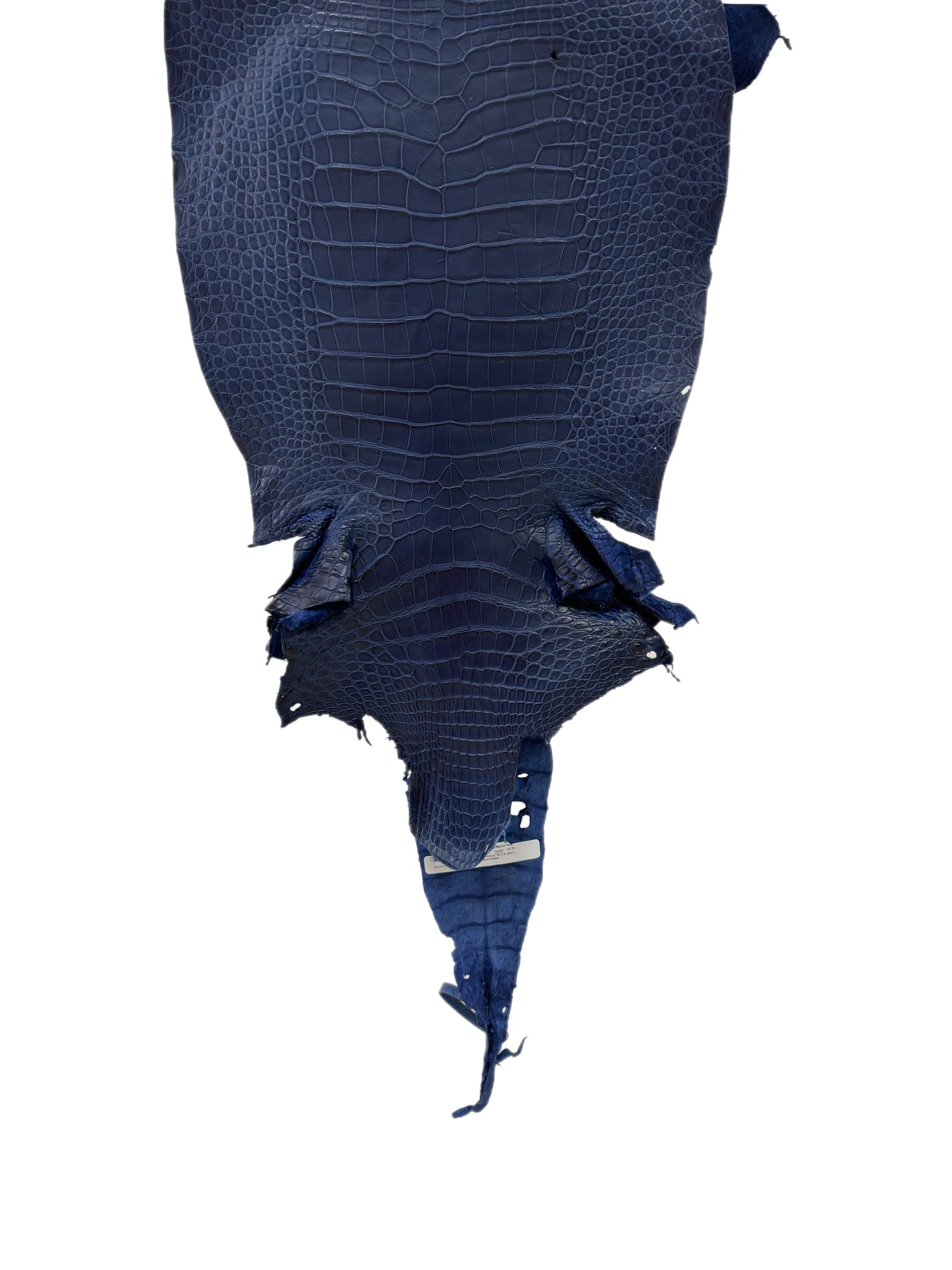 38 cm Grade 3/4 Admiral Blue Matte Wild American Alligator Leather - Tag: LA23-0007244