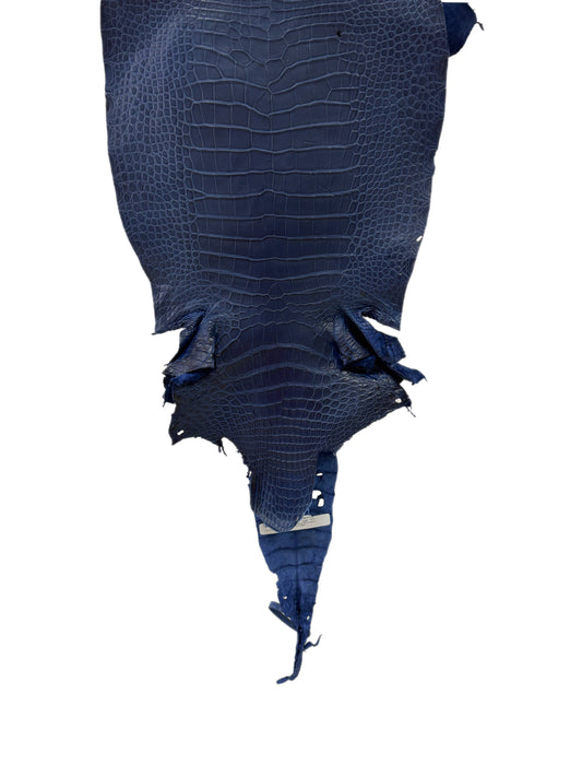38 cm Grade 3/4 Admiral Blue Matte Wild American Alligator Leather - Tag: LA23-0007244