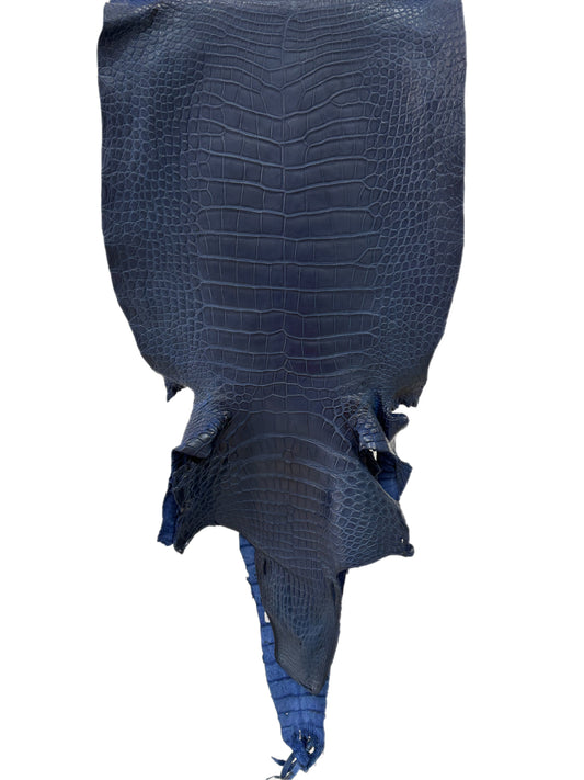 43 cm Grade 2/3 Admiral Blue Matte Wild American Alligator Leather - Tag: LA23-0027760