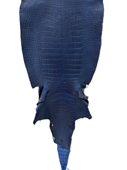 43 cm Grade 2/3 Admiral Blue Matte Wild American Alligator Leather - Tag: LA23-0014845