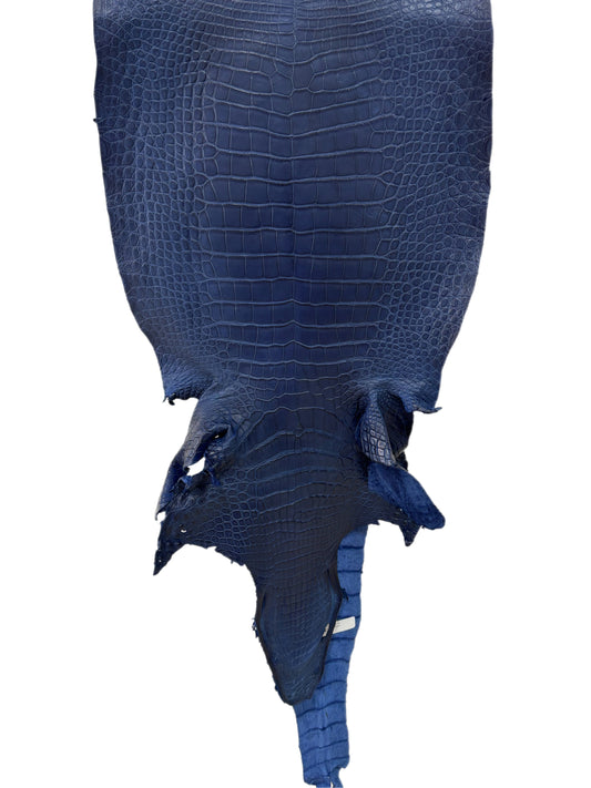 41 cm Grade 2/3 Admiral Blue Matte Wild American Alligator Leather - Tag: LA23-0033305
