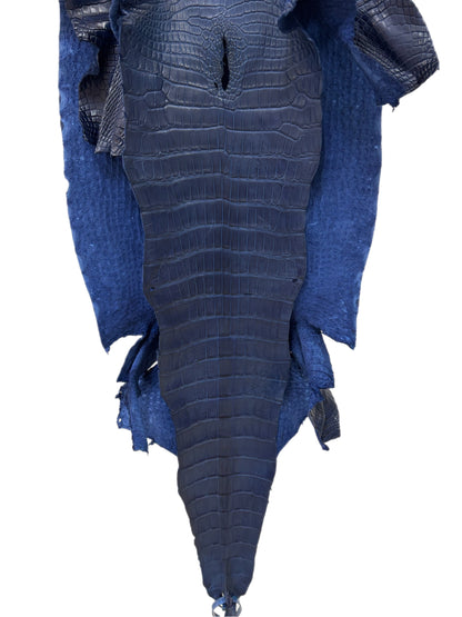 42 cm Grade 2/3 Admiral Blue Matte Wild American Alligator Leather - Tag: LA23-0034183