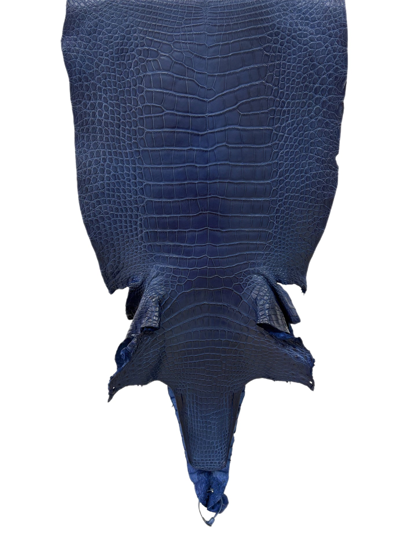 42 cm Grade 2/3 Admiral Blue Matte Wild American Alligator Leather - Tag: LA23-0034183