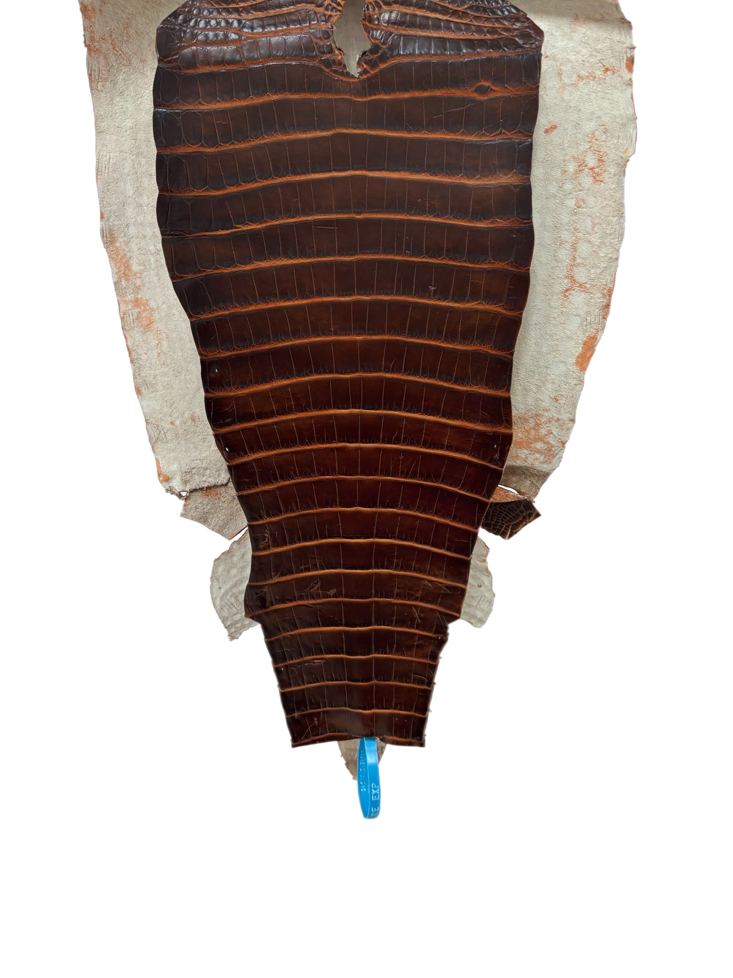 37 cm Grade 1/2 Sienna Matte Wild American Alligator Leather - Tag: ESRE-0050798