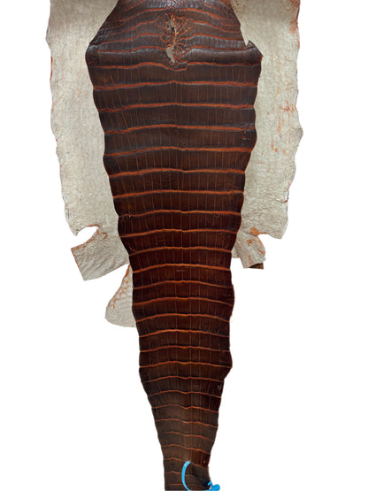 35 cm Grade 1/2 Sienna Matte Wild American Alligator Leather - Tag: ESRE-0050793