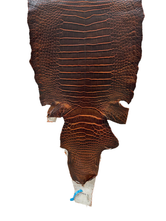 35 cm Grade 1/2 Sienna Matte Wild American Alligator Leather - Tag: ESRE-0050793