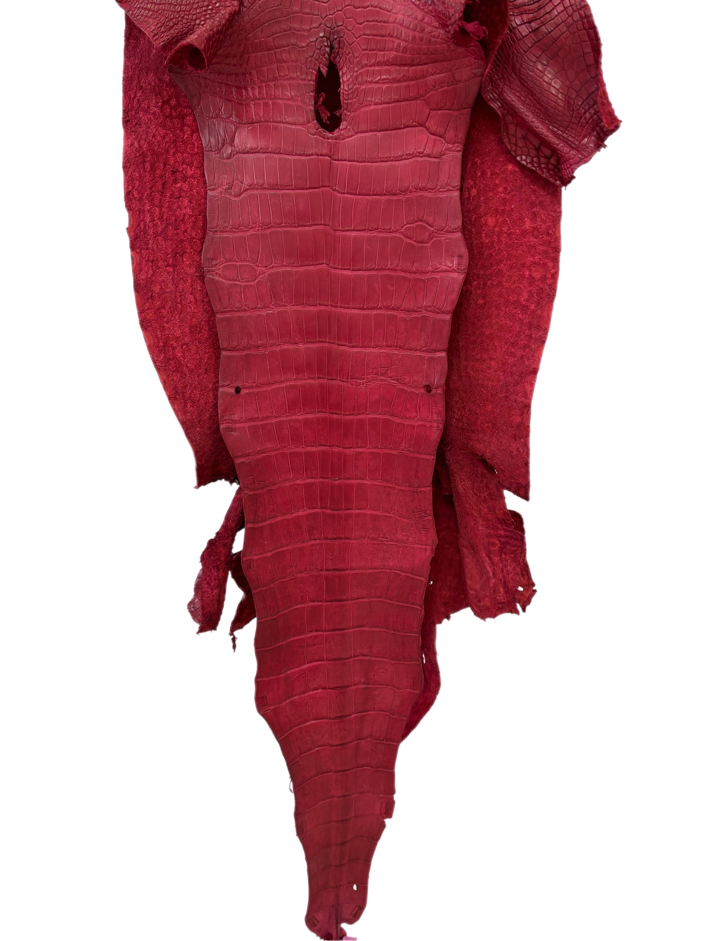 38 cm Grade 2/3 Scarlet Matte Wild American Alligator Leather - Tag: LA23-0047097