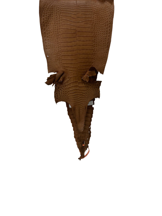 24 cm Grade 1/2 Kango Tabac Matte Farm-Raised American Alligator Leather - Tag: FL21-0024664
