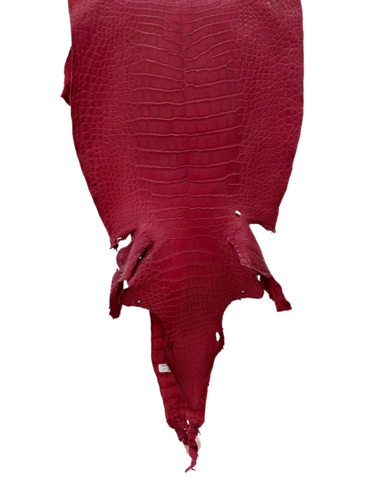 36 cm Grade 3/4 Scarlet Matte Wild American Alligator Leather - Tag: LA23-0034061