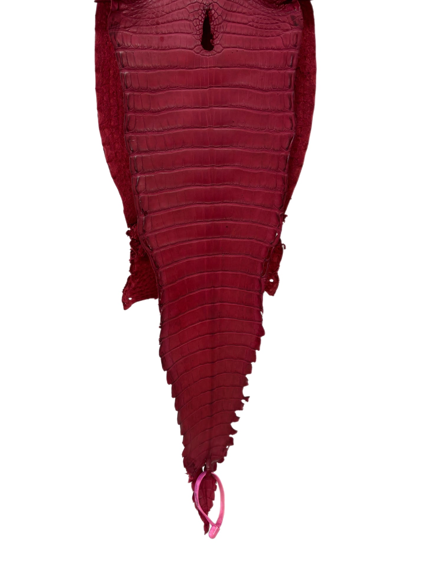 24 cm Grade 4/5 Scarlet Matte Farm-Raised American Alligator Leather - Tag: FL21-0024995