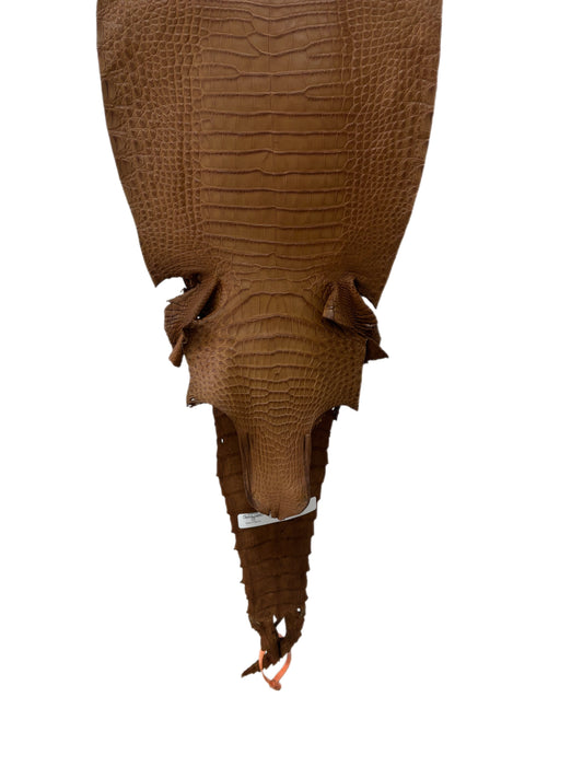 29 cm Grade 1/2 Kango Tabac Matte Farm-Raised American Alligator Leather - Tag: FL21-0024014